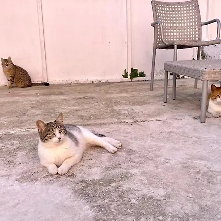Дом отдыха The Humble In Corfu *